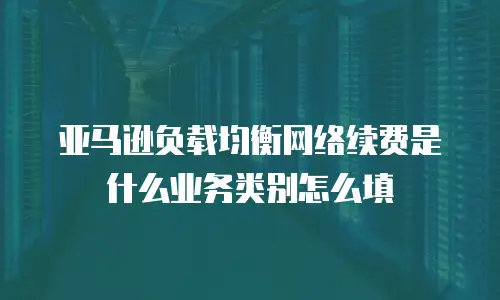 亚马逊负载均衡网络续费是什么业务类别怎么填