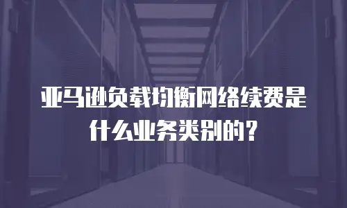 亚马逊负载均衡网络续费是什么业务类别的？