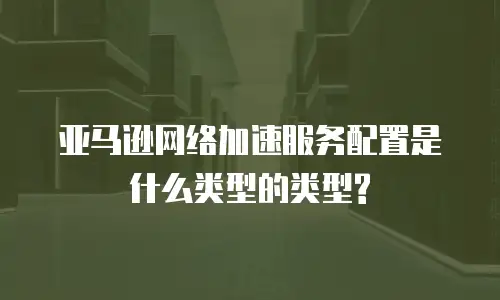 亚马逊网络加速服务配置是什么类型的类型?