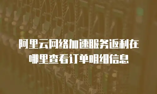 阿里云网络加速服务返利在哪里查看订单明细信息
