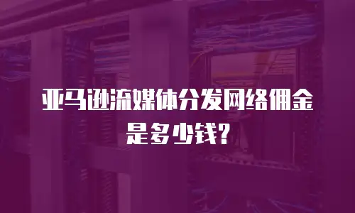 亚马逊流媒体分发网络佣金是多少钱？