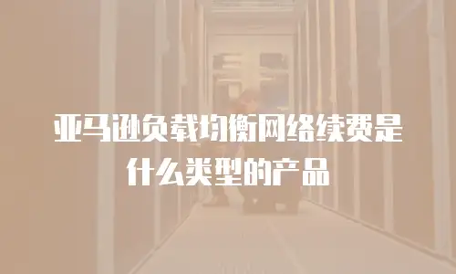 亚马逊负载均衡网络续费是什么类型的产品