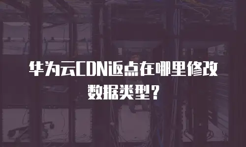 华为云CDN返点在哪里修改数据类型？