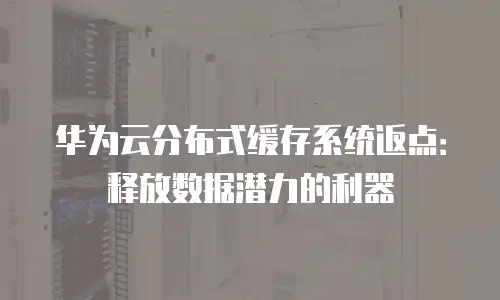 华为云分布式缓存系统返点：释放数据潜力的利器