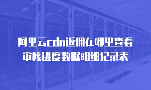 阿里云cdn返佣在哪里查看审核进度数据明细记录表