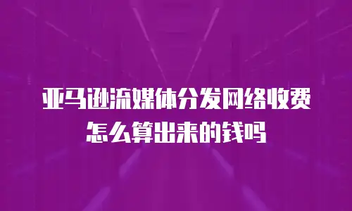 亚马逊流媒体分发网络收费怎么算出来的钱吗