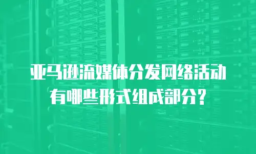 亚马逊流媒体分发网络活动有哪些形式组成部分?