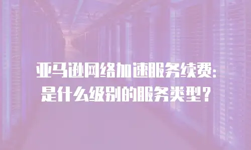 亚马逊网络加速服务续费：是什么级别的服务类型？