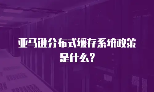 亚马逊分布式缓存系统政策是什么？