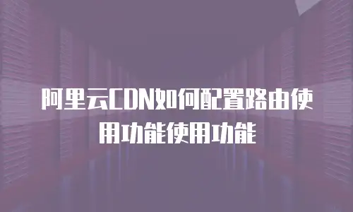 阿里云CDN如何配置路由使用功能使用功能