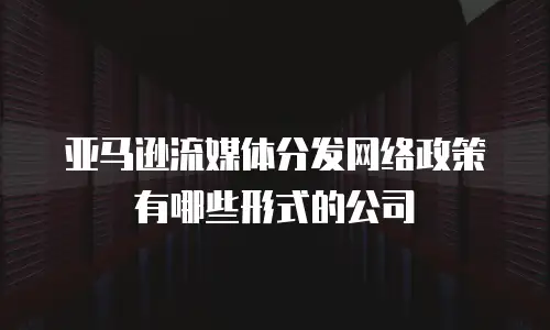 亚马逊流媒体分发网络政策有哪些形式的公司