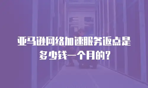 亚马逊网络加速服务返点是多少钱一个月的？