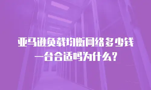 亚马逊负载均衡网络多少钱一台合适吗为什么？