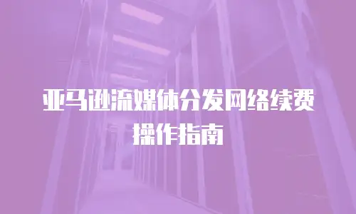 亚马逊流媒体分发网络续费操作指南