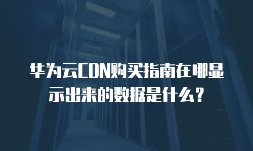华为云CDN购买指南在哪显示出来的数据是什么？