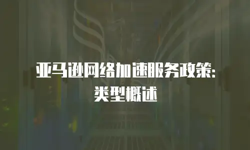 亚马逊网络加速服务政策：类型概述