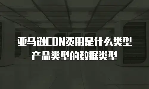 亚马逊CDN费用是什么类型产品类型的数据类型