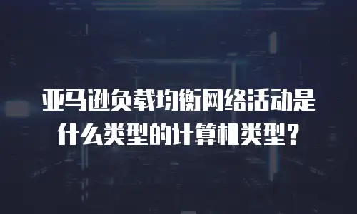 亚马逊负载均衡网络活动是什么类型的计算机类型？