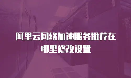 阿里云网络加速服务推荐在哪里修改设置