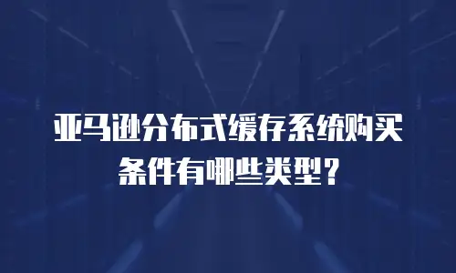 亚马逊分布式缓存系统购买条件有哪些类型？