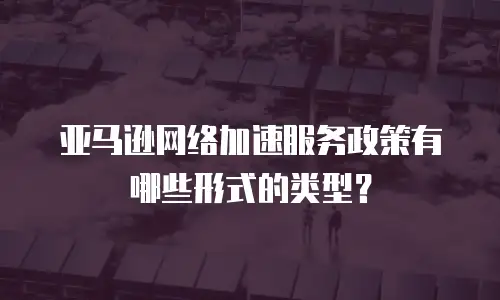 亚马逊网络加速服务政策有哪些形式的类型？