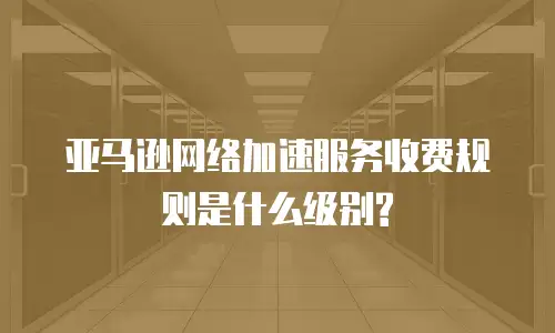 亚马逊网络加速服务收费规则是什么级别?