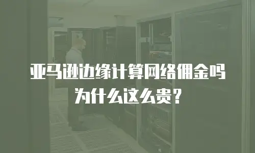 亚马逊边缘计算网络佣金吗为什么这么贵？