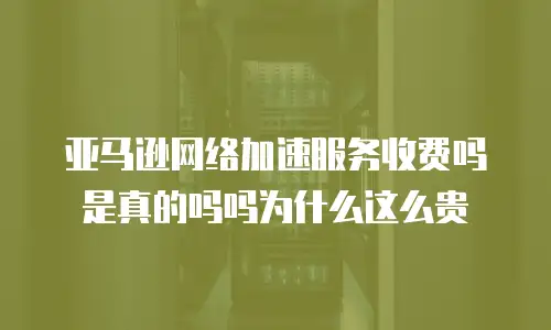 亚马逊网络加速服务收费吗是真的吗吗为什么这么贵
