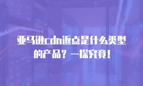 亚马逊cdn返点是什么类型的产品？一探究竟！