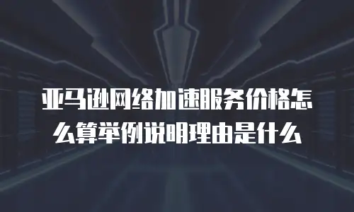 亚马逊网络加速服务价格怎么算举例说明理由是什么