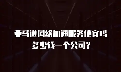 亚马逊网络加速服务便宜吗多少钱一个公司？