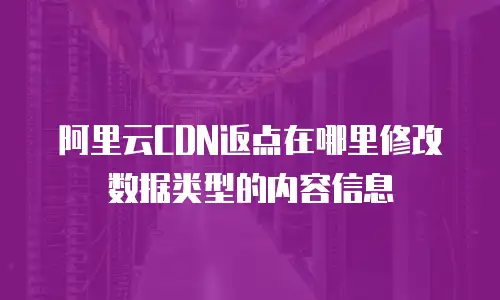 阿里云CDN返点在哪里修改数据类型的内容信息