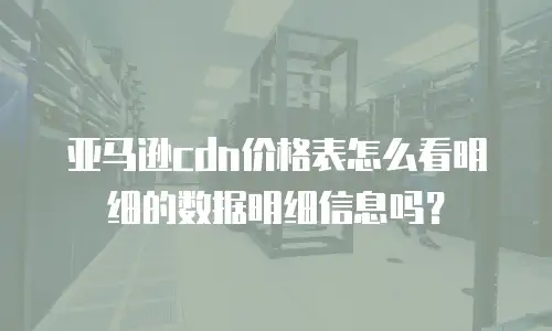 亚马逊cdn价格表怎么看明细的数据明细信息吗？