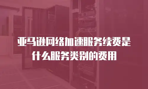 亚马逊网络加速服务续费是什么服务类别的费用