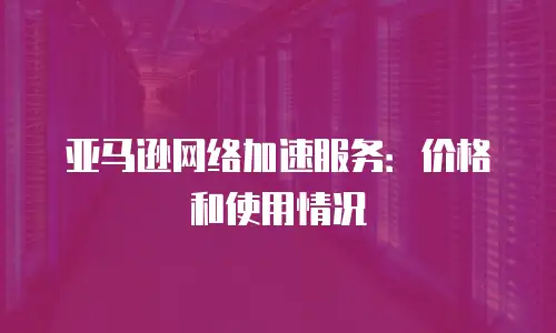 亚马逊网络加速服务：价格和使用情况