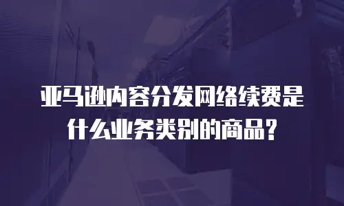 亚马逊内容分发网络续费是什么业务类别的商品?