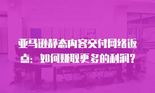 亚马逊静态内容交付网络返点：如何赚取更多的利润？