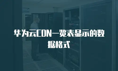 华为云CDN一览表显示的数据格式