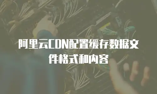 阿里云CDN配置缓存数据文件格式和内容