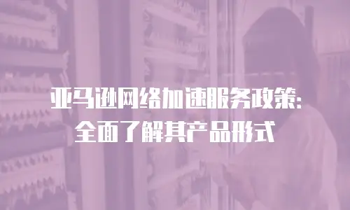 亚马逊网络加速服务政策：全面了解其产品形式