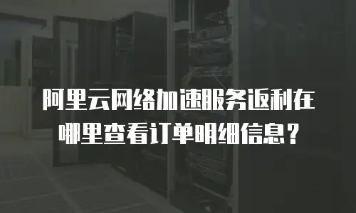 阿里云网络加速服务返利在哪里查看订单明细信息？