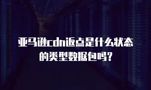 亚马逊cdn返点是什么状态的类型数据包吗？