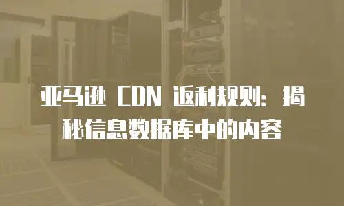 亚马逊 CDN 返利规则：揭秘信息数据库中的内容