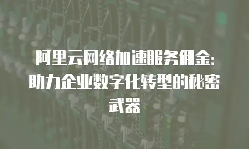 阿里云网络加速服务佣金：助力企业数字化转型的秘密武器