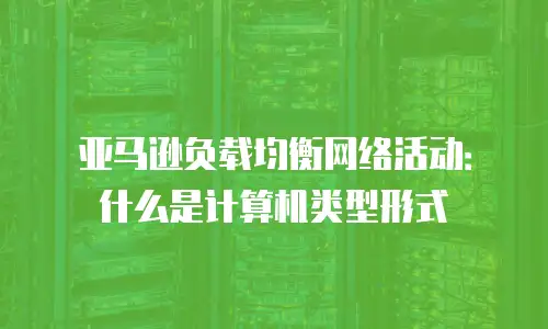 亚马逊负载均衡网络活动：什么是计算机类型形式
