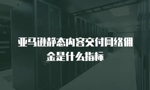 亚马逊静态内容交付网络佣金是什么指标