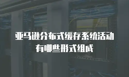 亚马逊分布式缓存系统活动有哪些形式组成
