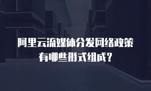 阿里云流媒体分发网络政策有哪些形式组成？