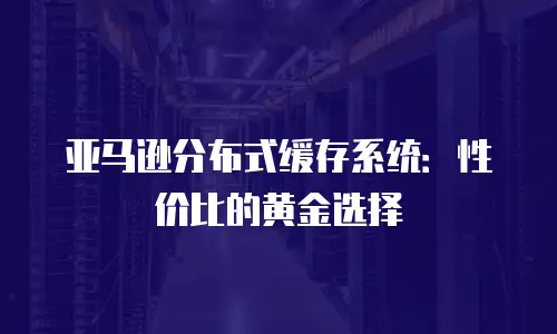 亚马逊分布式缓存系统：性价比的黄金选择