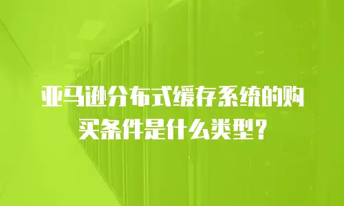 亚马逊分布式缓存系统的购买条件是什么类型？
